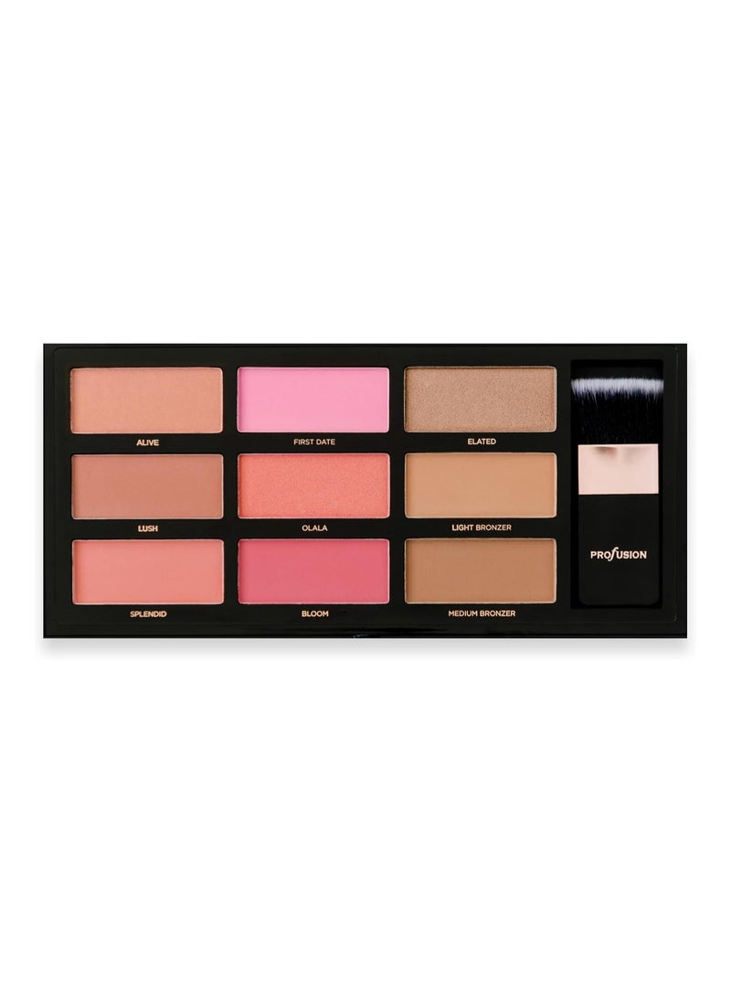 Professional Artistry Pro Blush and Bronze Palette