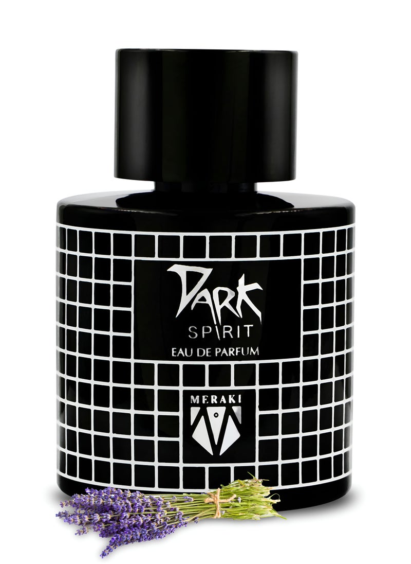 Meraki Dark Spirit Edp 100Ml