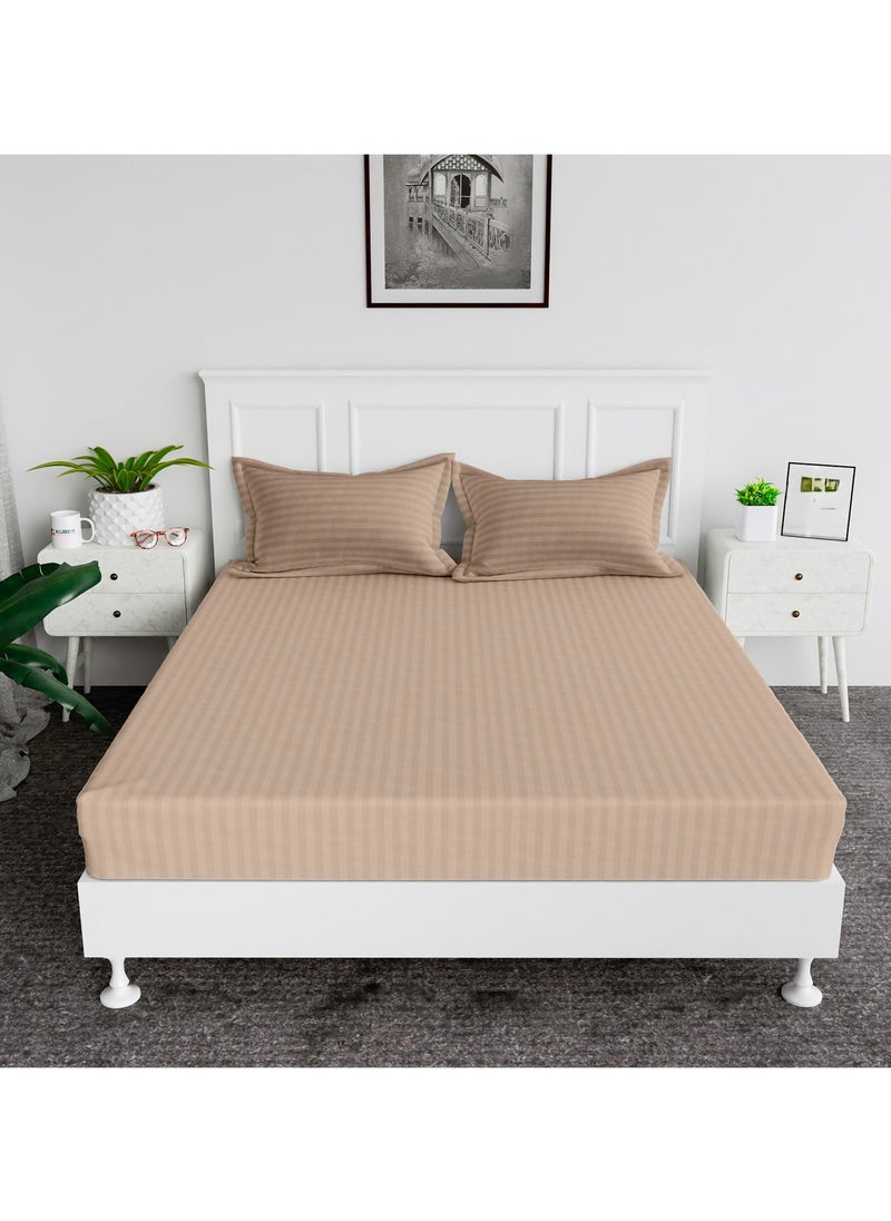 Cotton tc300 Fitted Bed Sheets +  Pillow Covers, King/Queen/Double/Single Sizes, Color Striped Beige