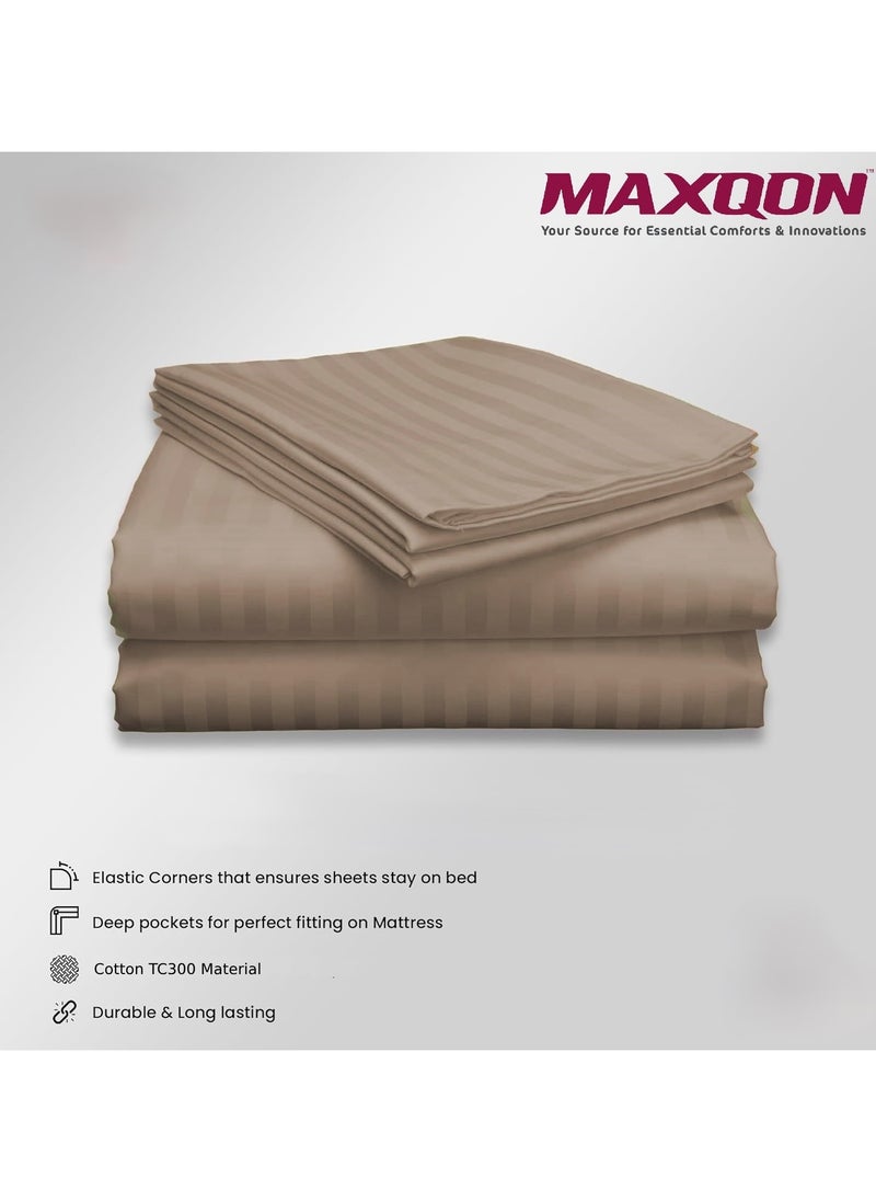 Cotton tc300 Fitted Bed Sheets +  Pillow Covers, King/Queen/Double/Single Sizes, Color Striped Beige