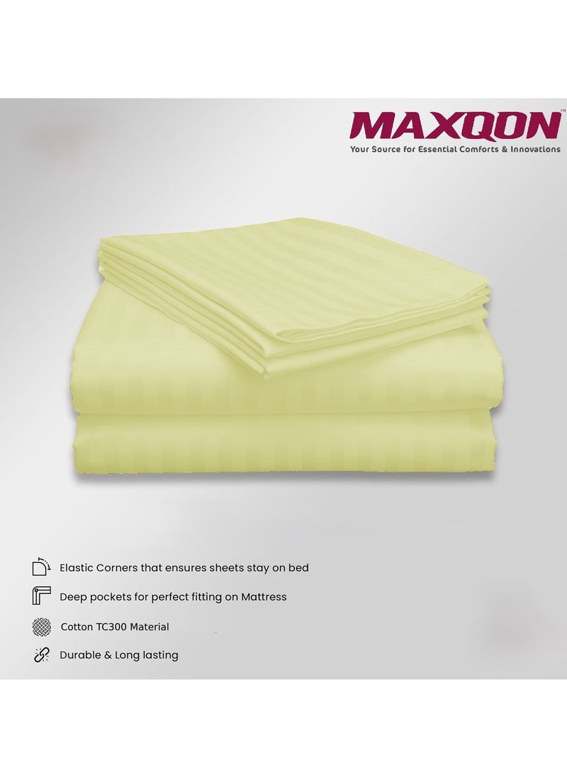 Cotton tc300 Fitted Bed Sheets +  Pillow Covers, King/Queen/Double/Single Sizes, Color Striped Cream