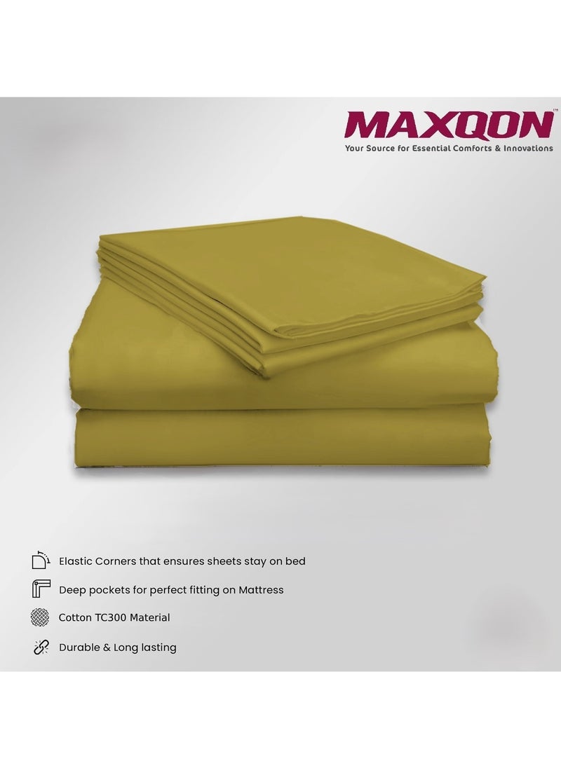 Cotton tc300 Fitted Bed Sheets +  Pillow Covers, King/Queen/Double/Single Sizes, Color Gold