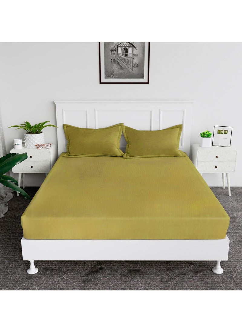 Cotton tc300 Fitted Bed Sheets +  Pillow Covers, King/Queen/Double/Single Sizes, Color Gold