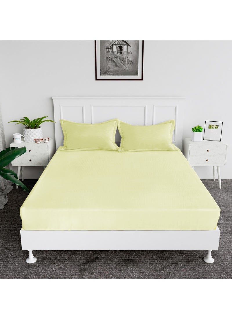 Cotton tc300 Fitted Bed Sheets +  Pillow Covers, King/Queen/Double/Single Sizes, Color Cream