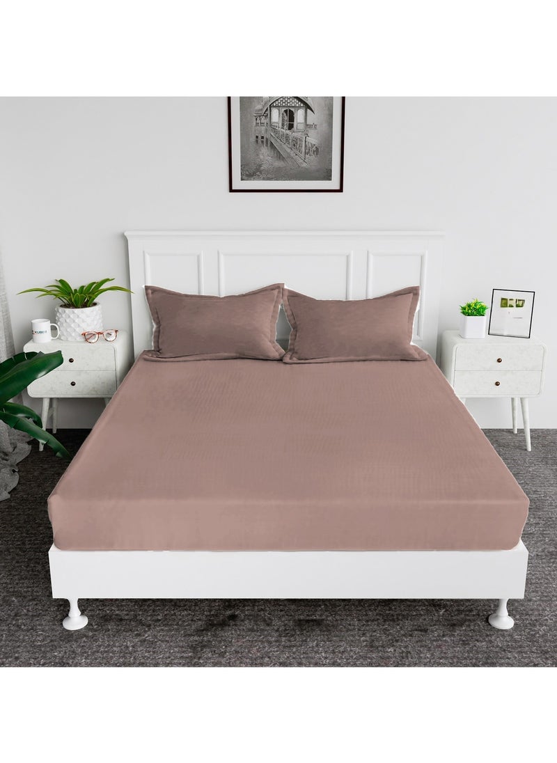 Cotton tc300 Fitted Bed Sheets +  Pillow Covers, King/Queen/Double/Single Sizes, Color Beige