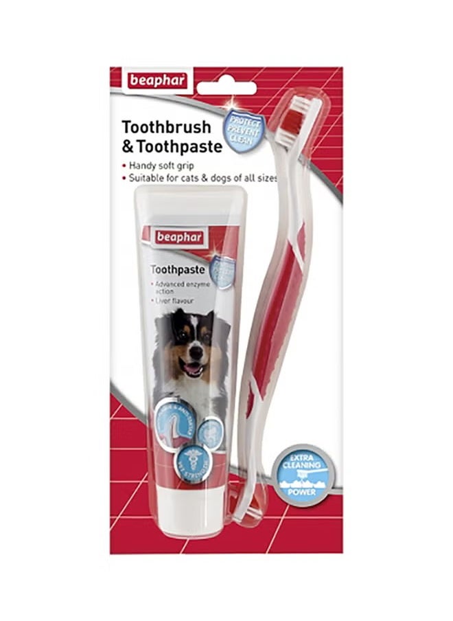 Toothbrush and Toothpaste Combipack