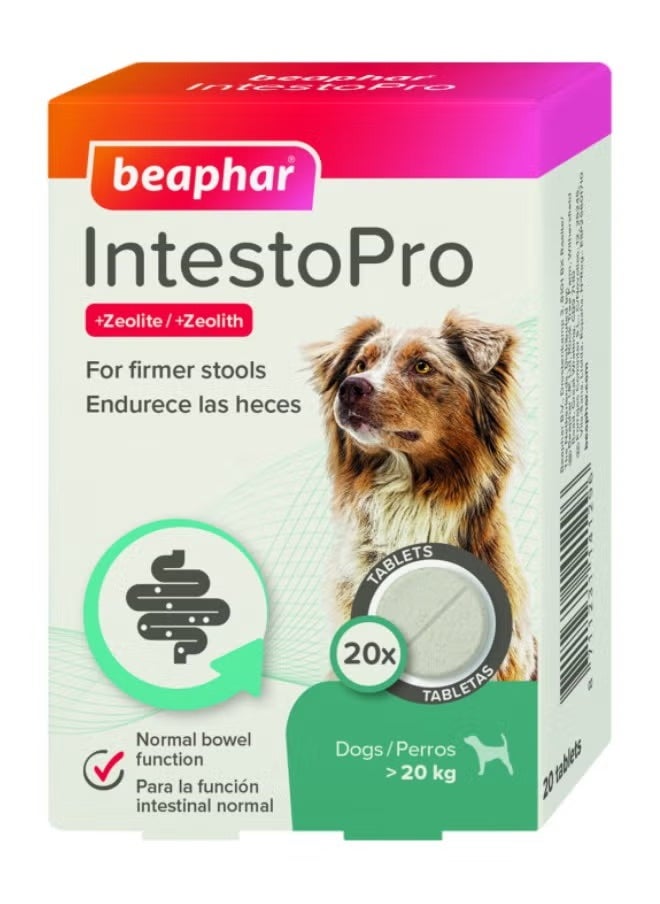 IntestoPro Anti Diarrhea Tablet Large Dog 20 tab