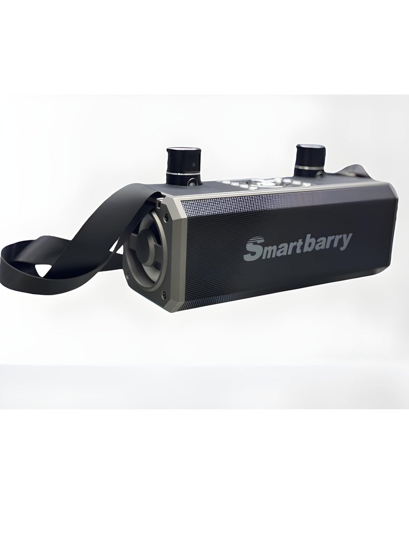 Smart berry M28 Portable Karaoke Machine Wireless Bluetooth Speaker With two Microphones Black