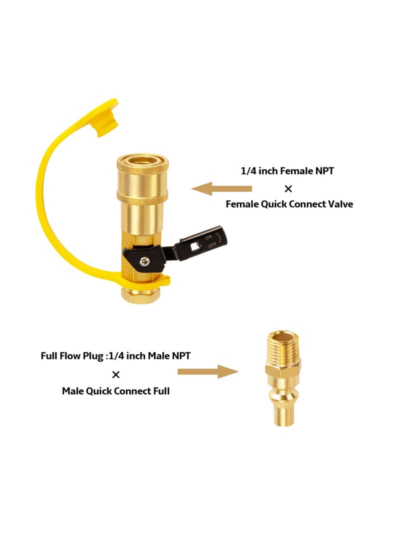 RV Propane Quick Connect Adapter, 1/4