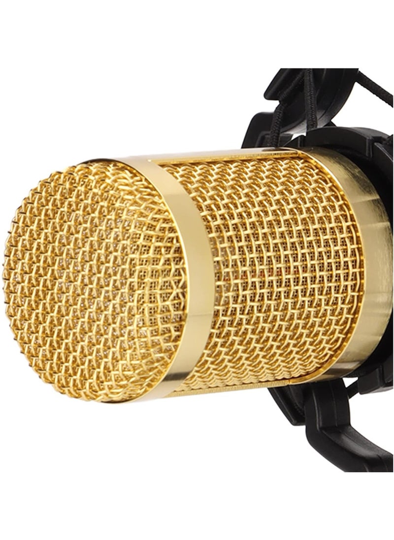 Wired Condenser Microphone, High Output and Low Noise Broadcast Recording Mic, XLR to 3.5mm Microphone with Shockproof Mount, Suitable for Recording Studios