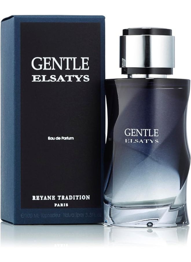 Reyane Tradition Elsatys Gentle Perfumes For Men EDP 100ml