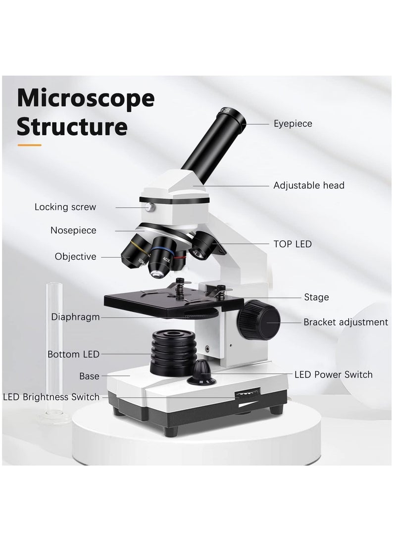 100X-2000X Microscopes for Kids Students Adults, Powerful Biological Microscopes for School Laboratory Home Education,with Microscope Slides Set, Phone Adapter