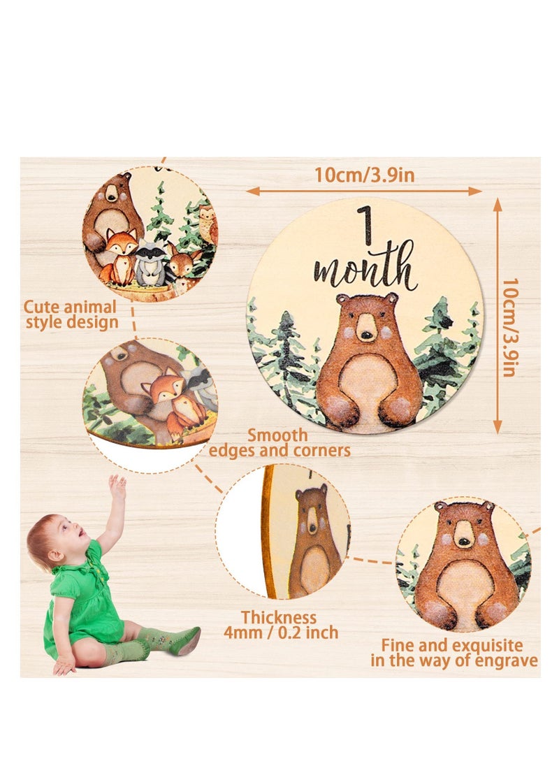 Baby Newborn Welcome Discs Sign Monthly Milestone, 12 Pieces