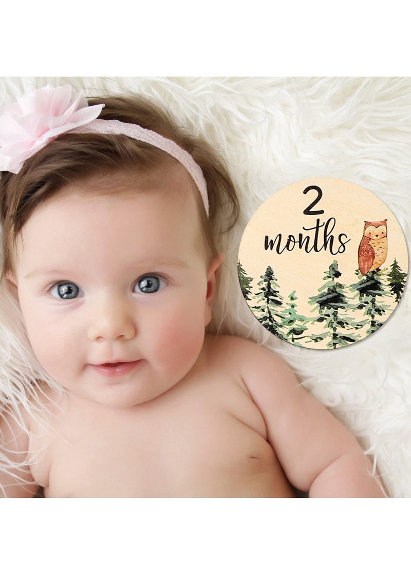 Baby Newborn Welcome Discs Sign Monthly Milestone, 12 Pieces