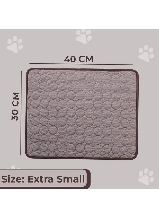 Rectangular Dog & Cat Bed|Premium Cool Ice Silk With Polyester With Bottom Mesh|Multi-Utility Self-Cooling Pad For Dog & Cat|Light-Weight & Durable Dog Bed|Zqcj001C-Xs|Coffee