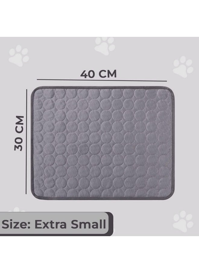 Rectangular Dog & Cat Bed|Premium Cool Ice Silk With Polyester With Bottom Mesh|Multi-Utility Self-Cooling Pad For Dog & Cat|Light-Weight & Durable Dog Bed|Zqcj001G-Xs|Grey