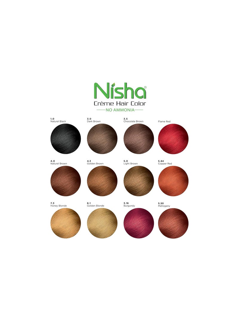 Nisha Cream Permanent Hair Color No Ammonia Cream Formula Permanent Fashion Highlights(60Gm+60Ml Each Pack) Dark Brown (Pack Of 2)