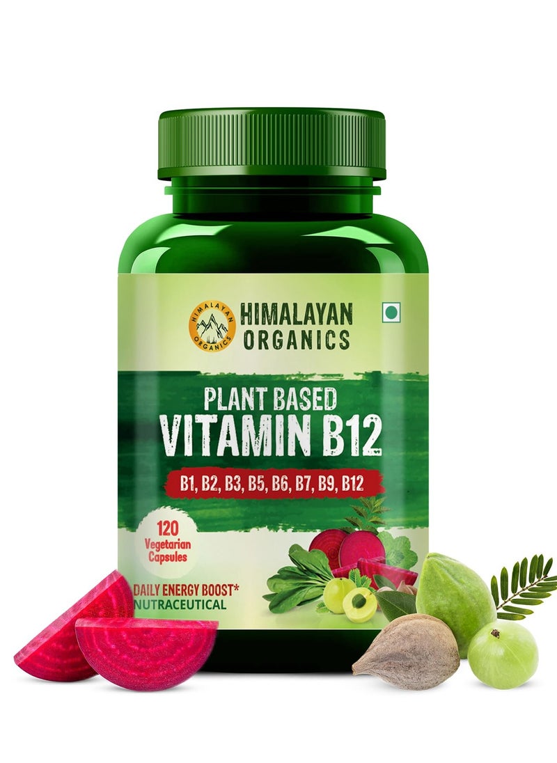 Himalayan Organics Plant Based Vitamin B12,  (120 Vegetarian Capsules) B1, B2, B3, B5, B6, B7, B9, B12/ Daily Energy Boost