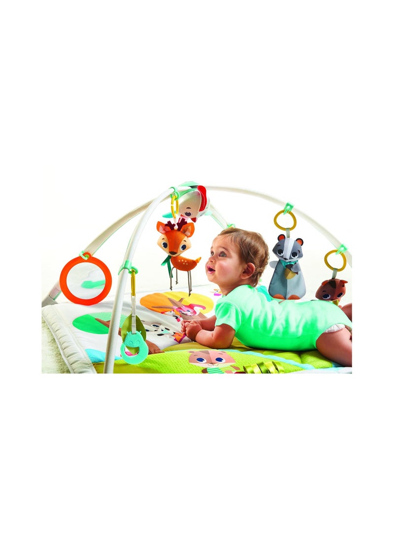 Tiny Love Gymini Deluxe Infant Activity Mat