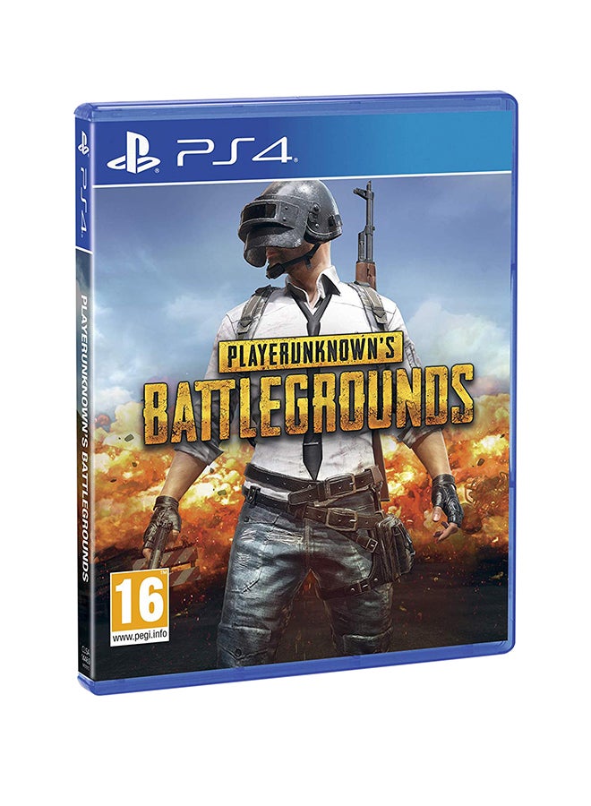 PlayStation 4 Slim 500GB + Player Unknown's Battlegrounds