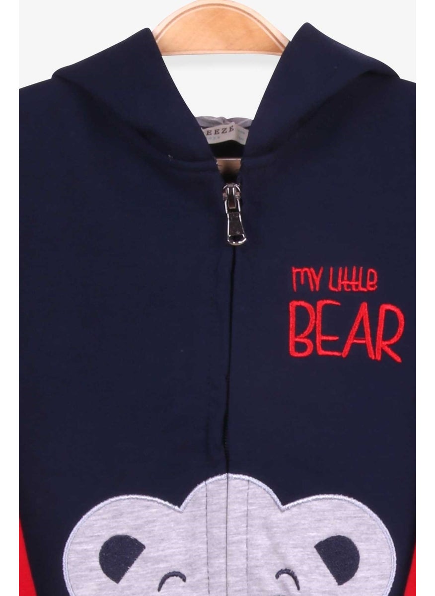 Boys Tracksuit Suit Bear Printed Navy (1-4 Years)