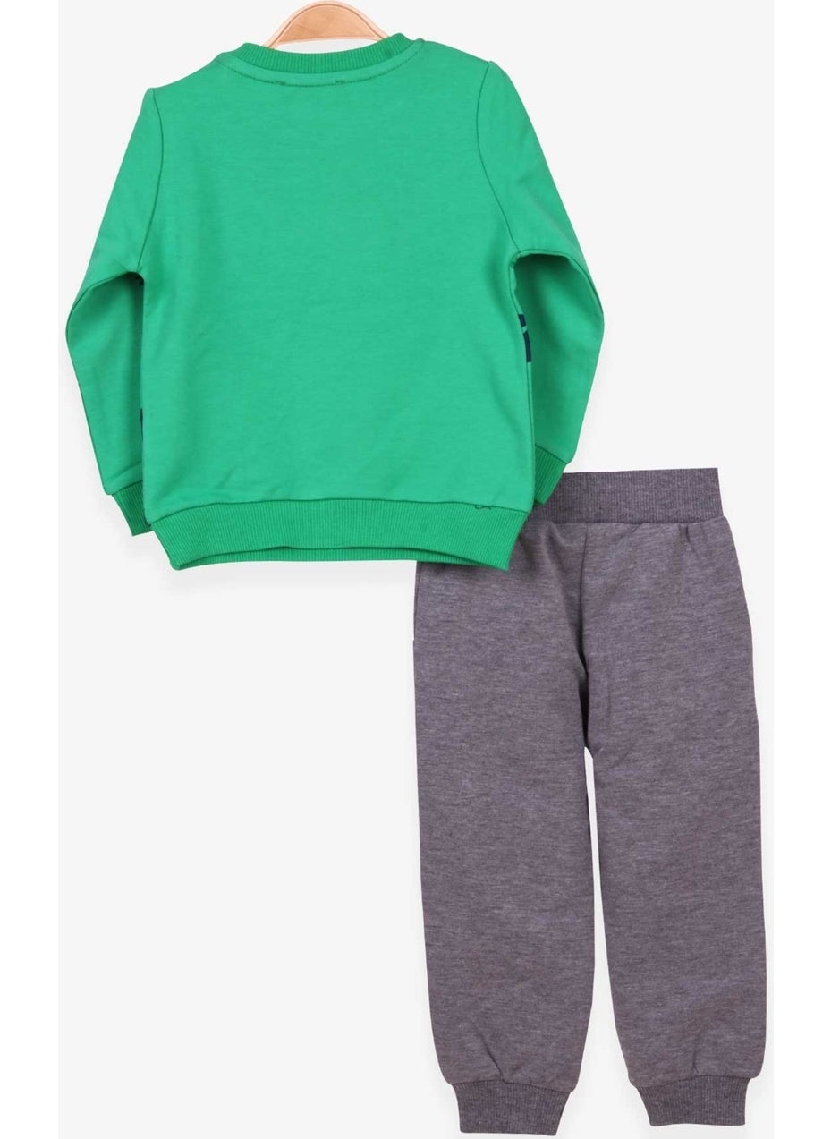Boys Tracksuit Set Bear Printed Green (1-4 Age)