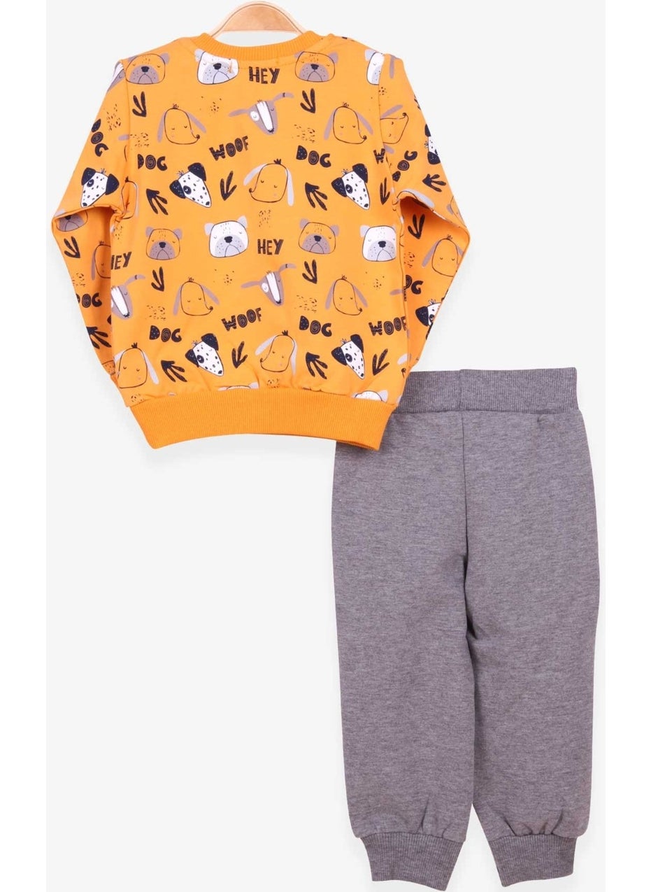 Boys Tracksuit Suit Print Patterned Mustard Yellow (1-4 Years)