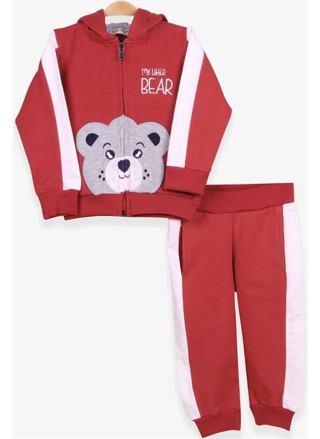 Boys Tracksuit Set Teddy Bear Printed Tile (1-4 Ages)