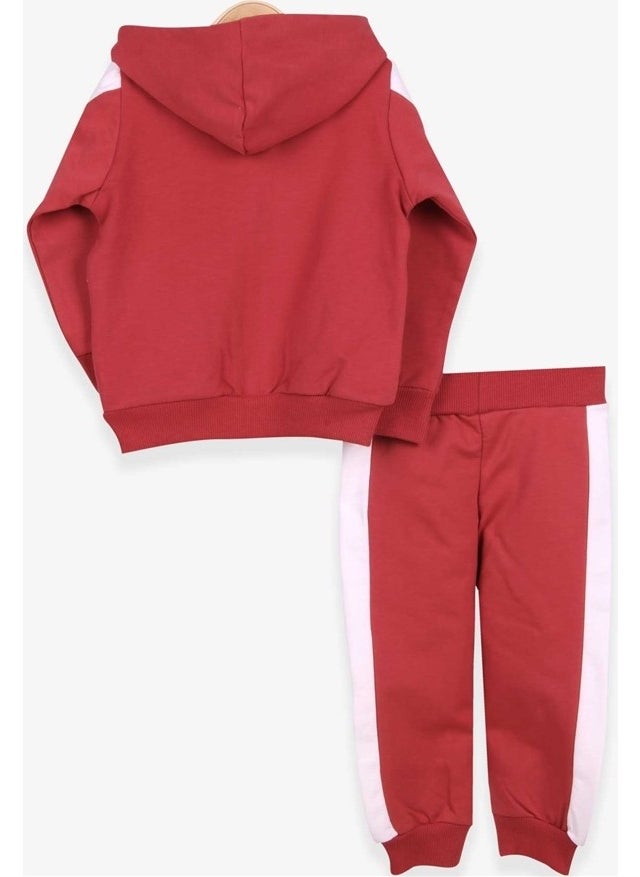 Boys Tracksuit Set Teddy Bear Printed Tile (1-4 Ages)