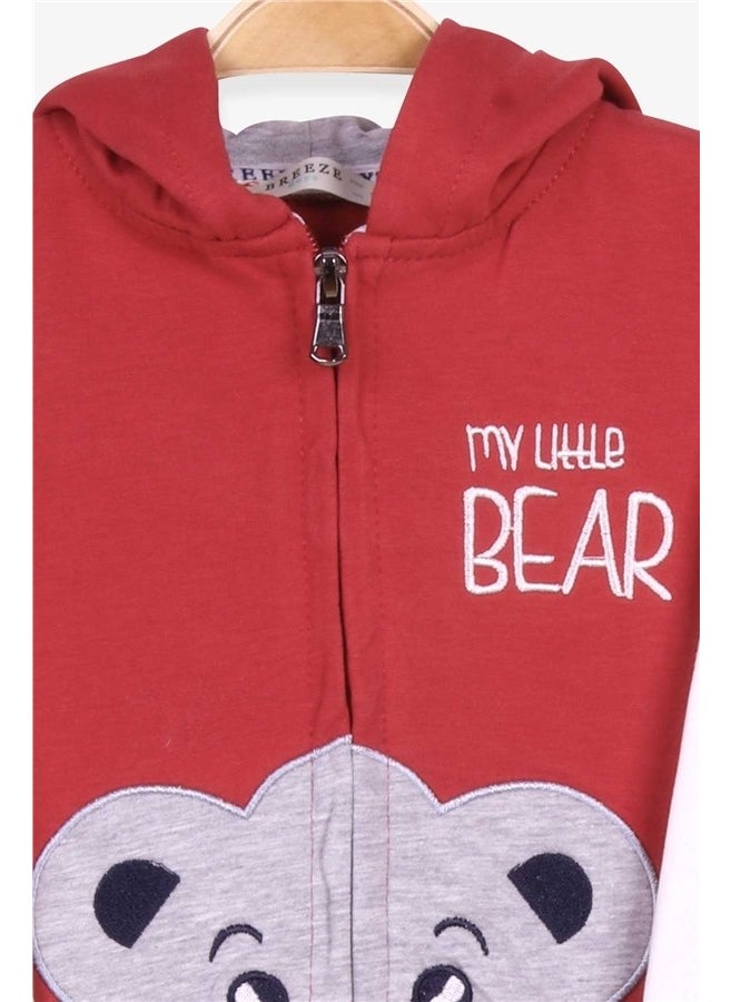 Boys Tracksuit Set Teddy Bear Printed Tile (1-4 Ages)