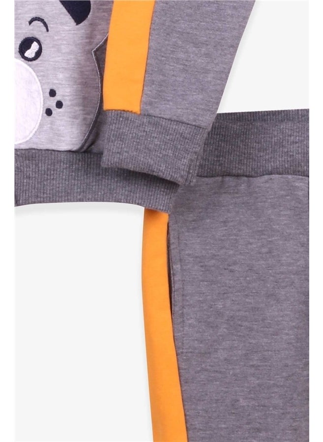 Breeze Boys Tracksuit Set Teddy Bear Printed Gray Melange (1-4 Ages)