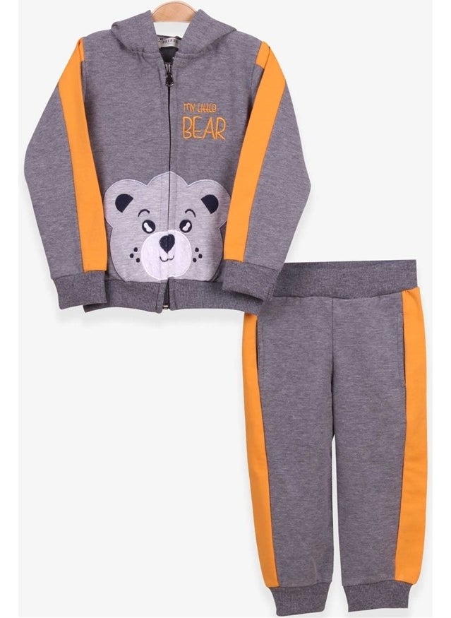 Breeze Boys Tracksuit Set Teddy Bear Printed Gray Melange (1-4 Ages)