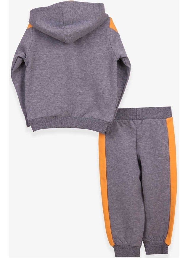 Breeze Boys Tracksuit Set Teddy Bear Printed Gray Melange (1-4 Ages)