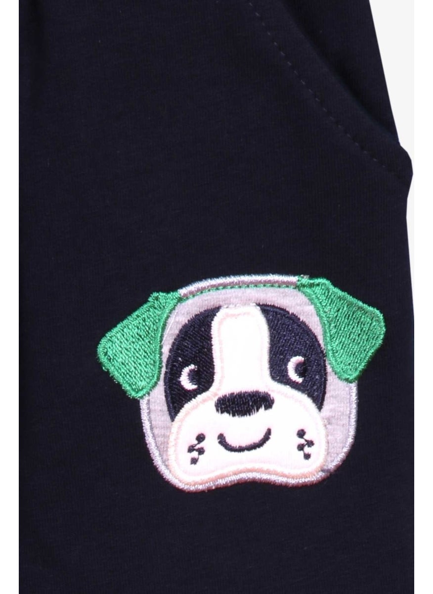 Boys Tracksuit Set Dog Embroidered Green (1-4 Age)