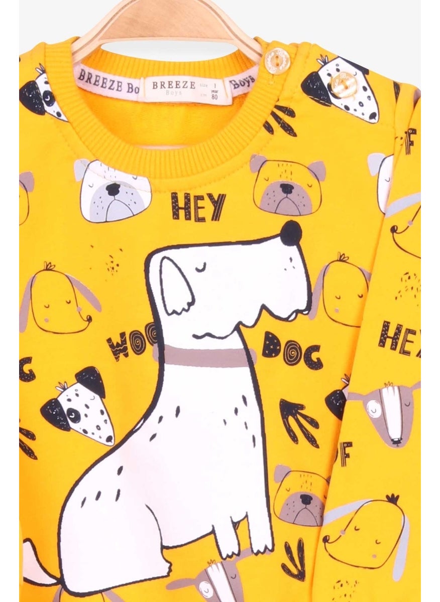 Boys Tracksuit Suit Print Patterned Yellow (1-4 Years)