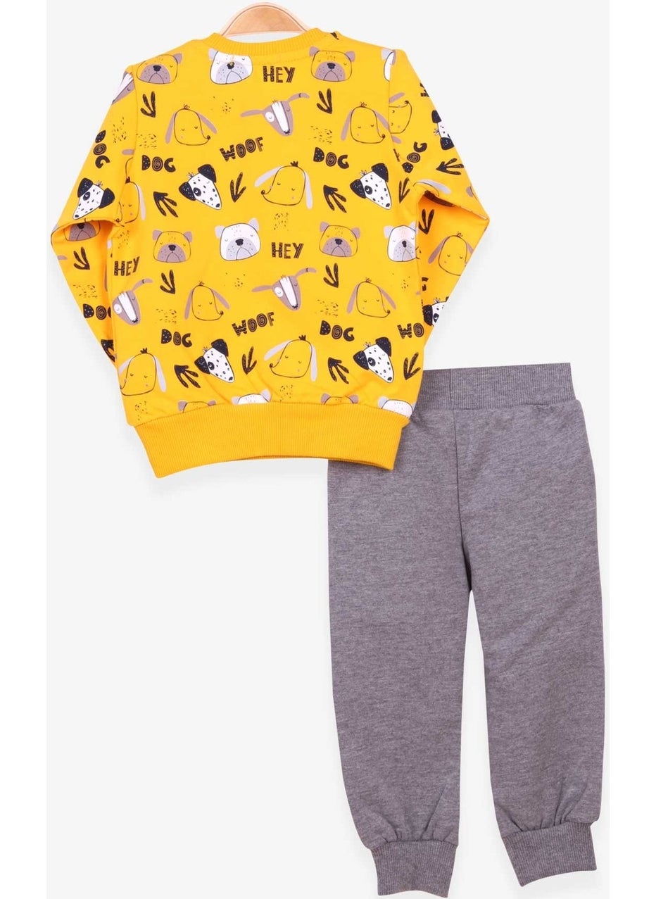 Boys Tracksuit Suit Print Patterned Yellow (1-4 Years)