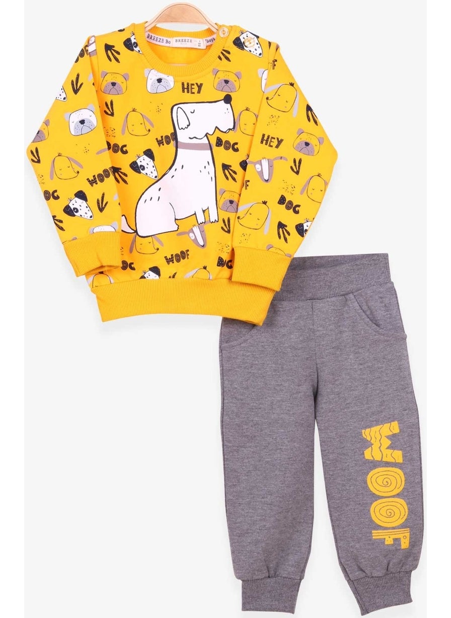 Boys Tracksuit Suit Print Patterned Yellow (1-4 Years)