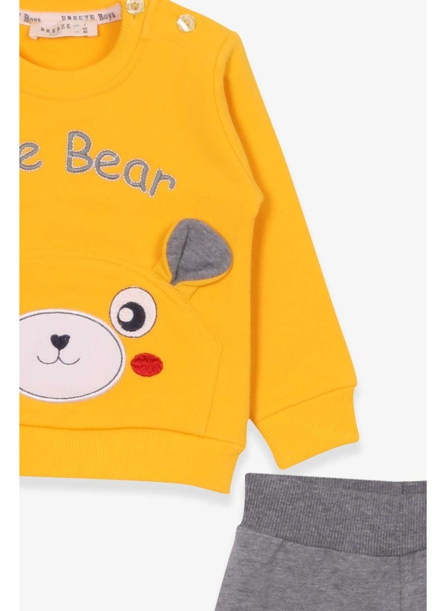 Baby Boy Tracksuit Set With Bear Embroidery Yellow (9 Months-3 Years)