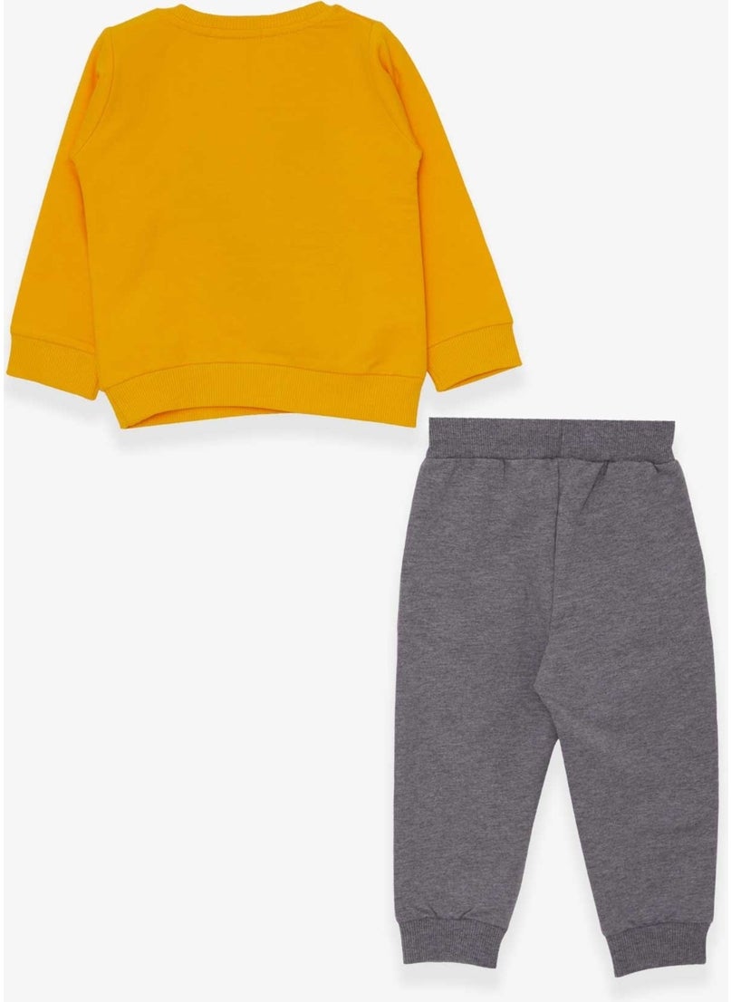 Boys Tracksuit Set Colored Car Embroidered Mustard Yellow (1.5-5 Years)