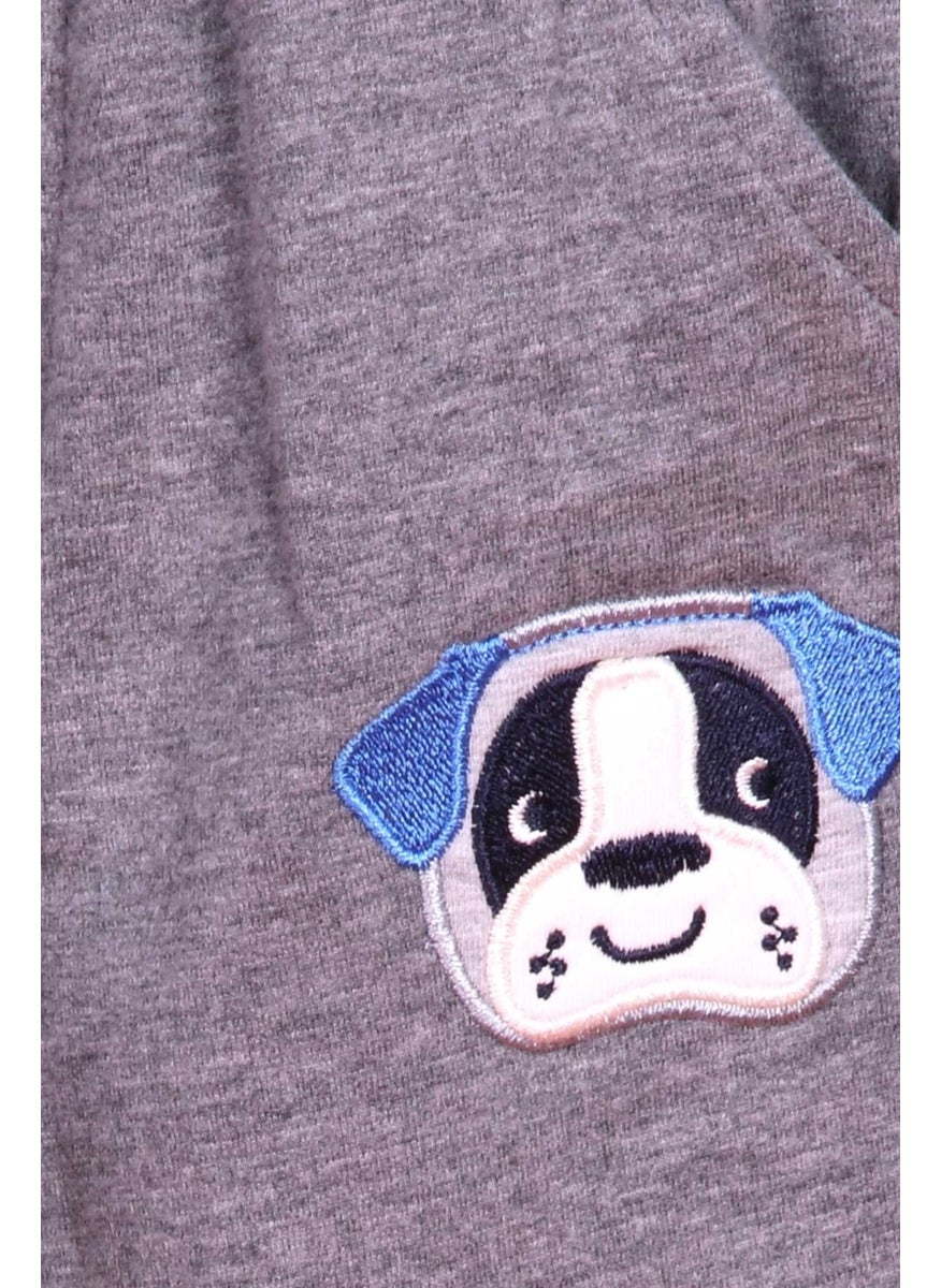 Boys Tracksuit Set Dog Embroidered Sax (1-4 Ages)