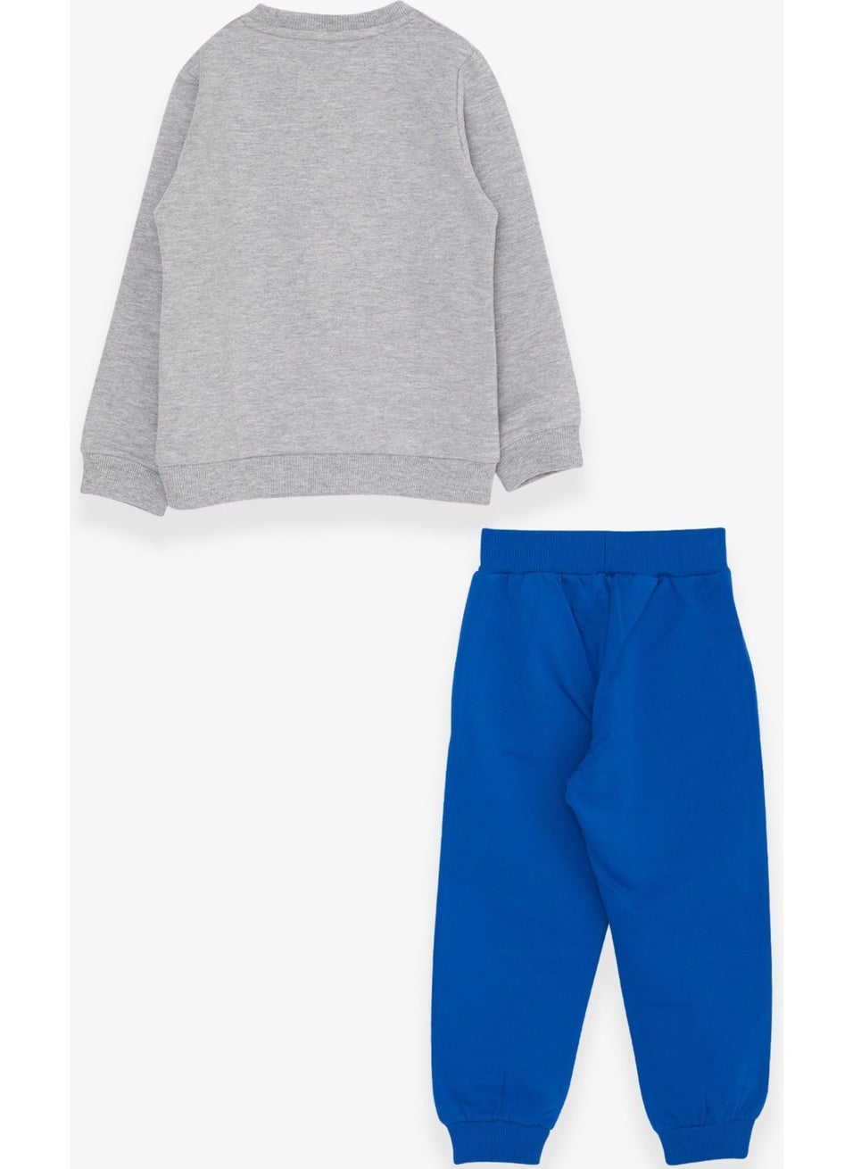 Boys Tracksuit Set Koala Printed Light Gray Melange (1-4 Ages)