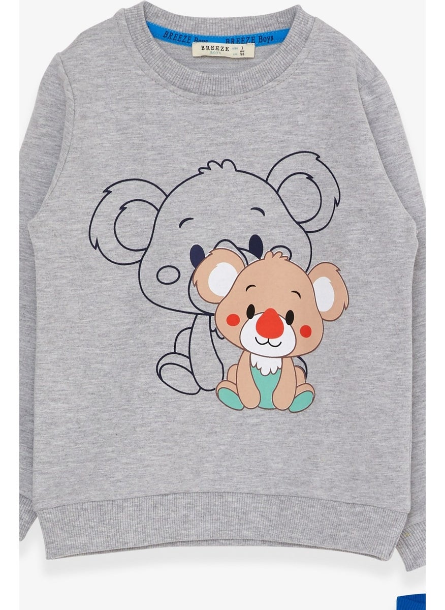 Boys Tracksuit Set Koala Printed Light Gray Melange (1-4 Ages)