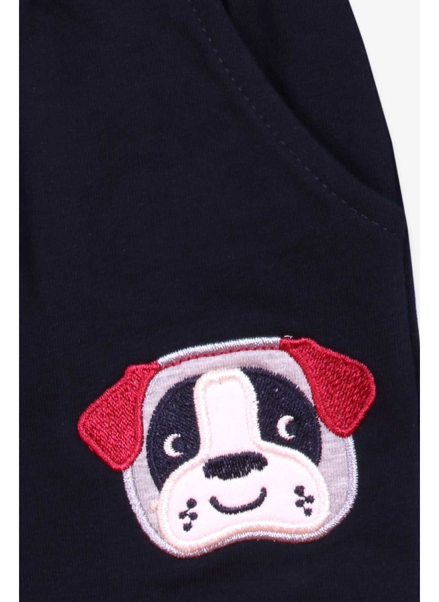 Boys Tracksuit Set with Dog Embroidery Claret Red (1-4 Ages)