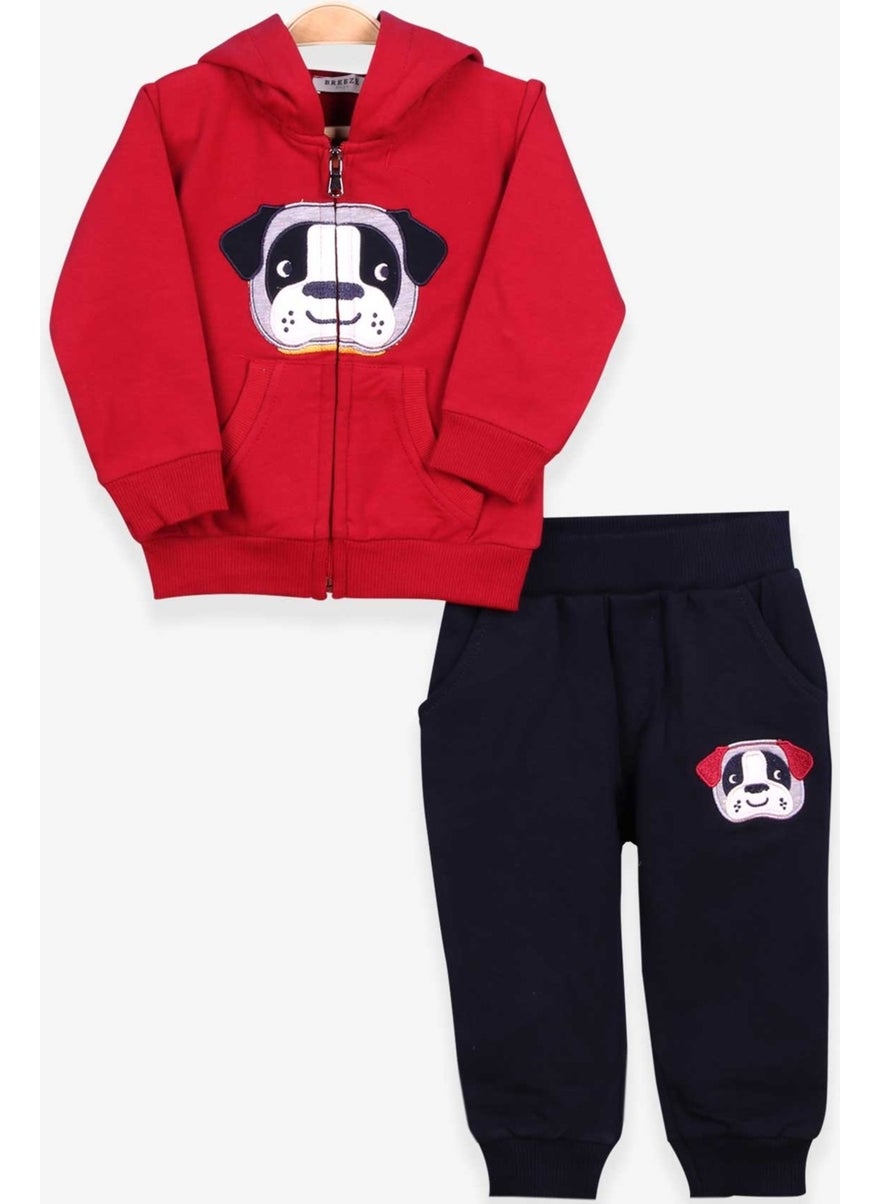 Boys Tracksuit Set with Dog Embroidery Claret Red (1-4 Ages)