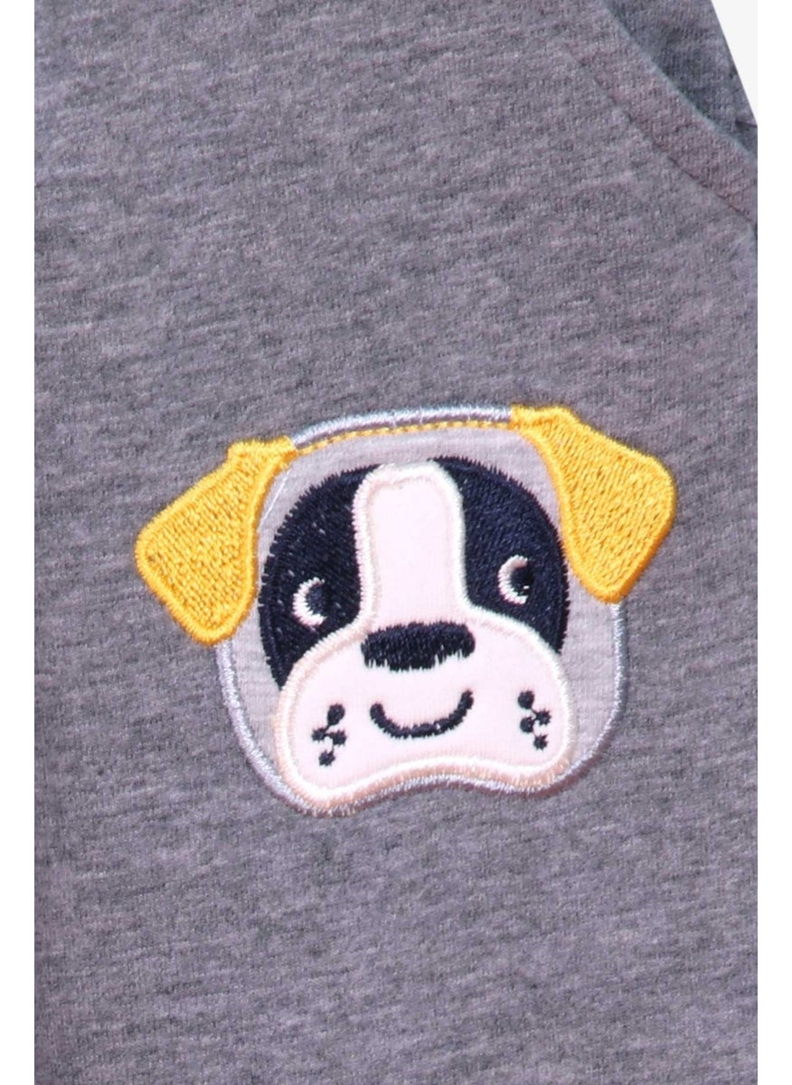 Boy's Tracksuit with Dog Embroidery, 1-4 Years, Yellow