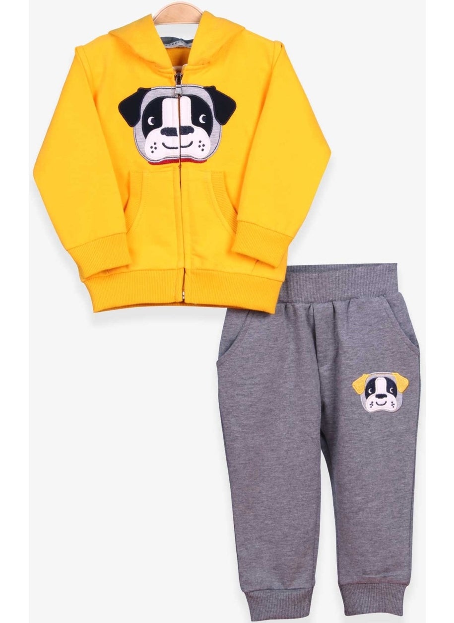 Boy's Tracksuit with Dog Embroidery, 1-4 Years, Yellow