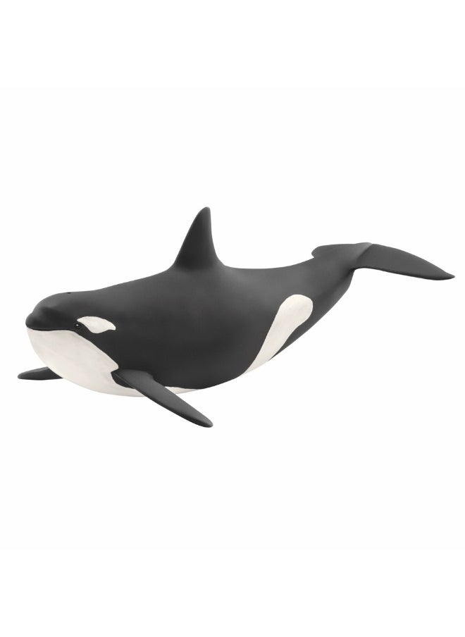 Killer Whale Figure