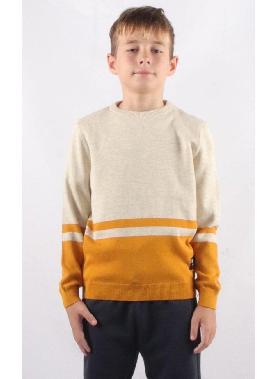 Crew Neck Kids Knitwear Sweater (C21-18668)