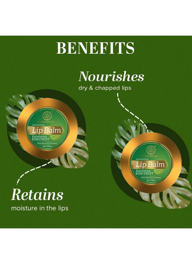 Kiwi Fruit Lip Balm With Beeswax And Honey| Herbal Lip Balm For Soft Lips | Nourishing Lip Balm For Chapped Lips | Free From Harsh Chemicals | Unisex Formula |Pack Of 3 | (5*3) (15 Gm)