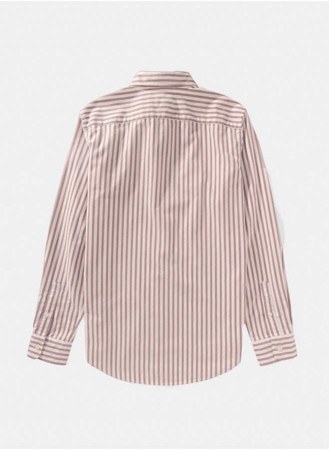 AE Striped Slim Fit Oxford Button-Up Shirt